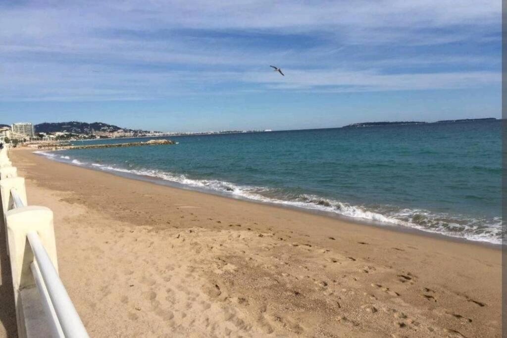 Appartement T2 Vue Panoramique C Cannes Exteriör bild